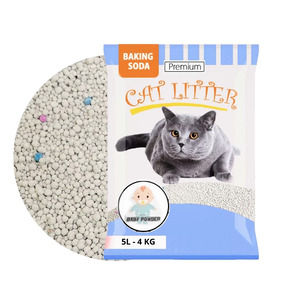 Nunc congue dui nec...